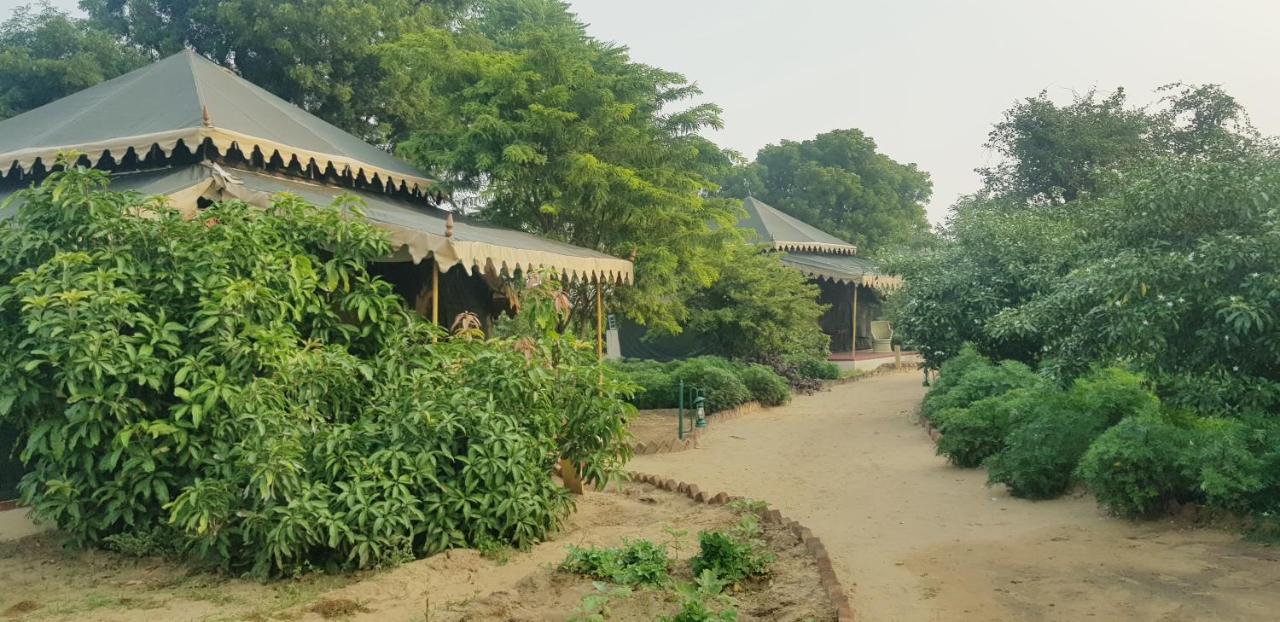 Orchard Tents & Tranquility Pushkar Exterior photo